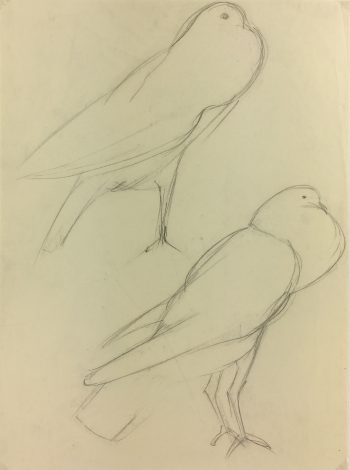 Animals Original Art - Pigeons, Schwerb, c.1960