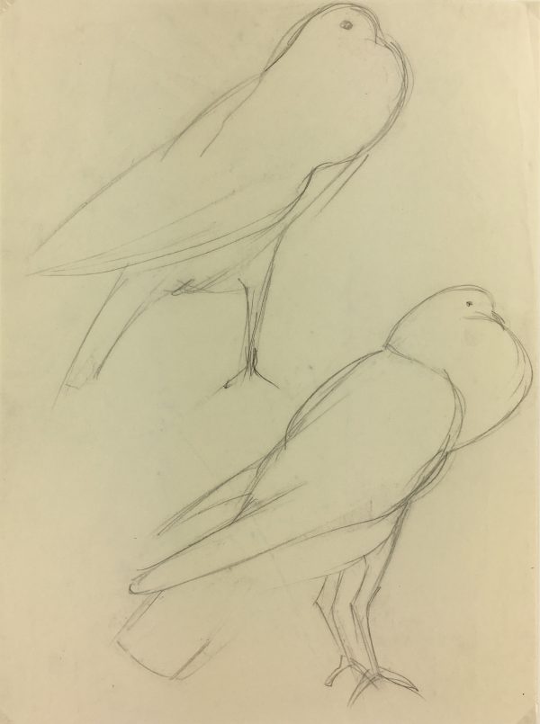Animals Original Art - Pigeons, Schwerb, c.1960
