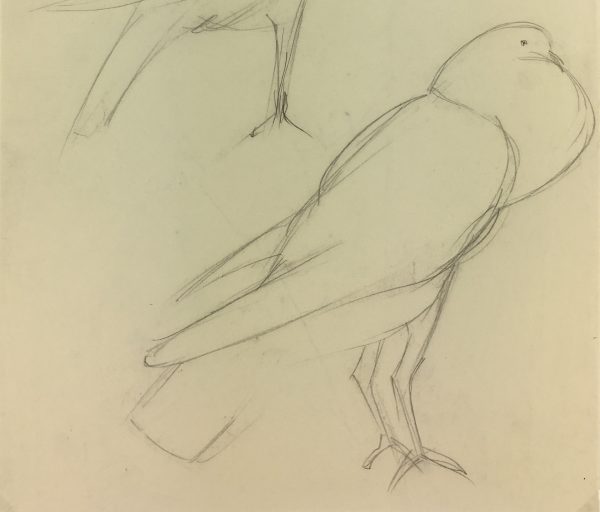 Animals Original Art - Pigeons, Schwerb, c.1960