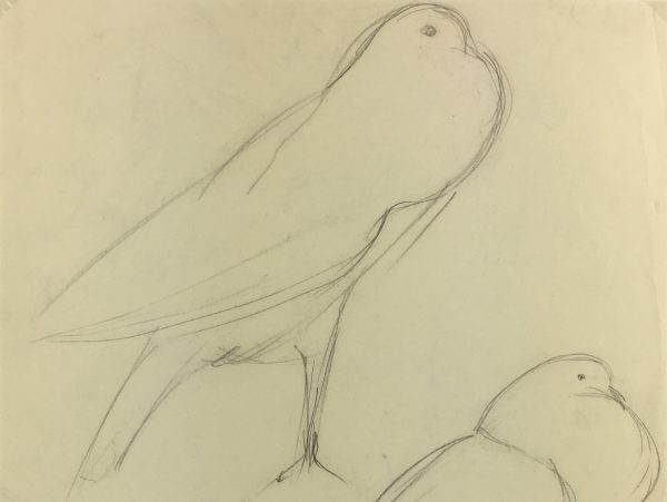 Animals Original Art - Pigeons, Schwerb, c.1960