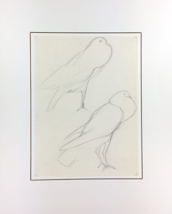 Animals Original Art - Pigeons, Schwerb, c.1960