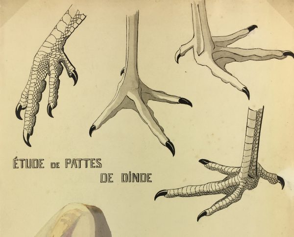 Animals Original Art - Gouache - Turkey Legs, Raynaly, 1930