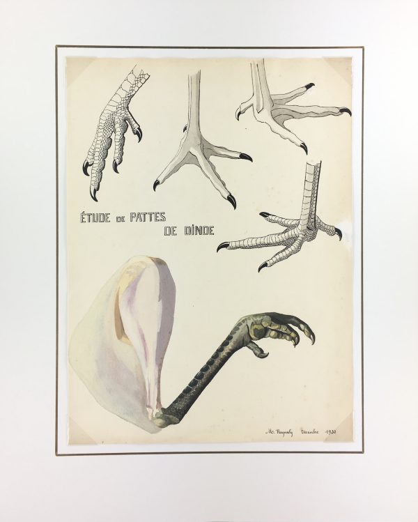 Animals Original Art - Gouache - Turkey Legs, Raynaly, 1930