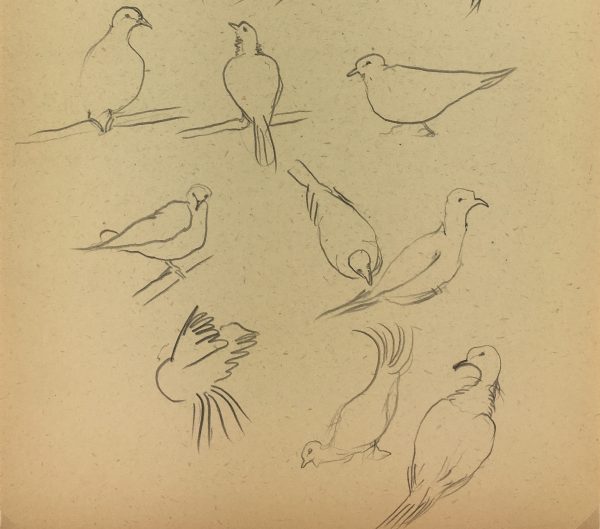 Animals Original Art - Pigeons, Giselle Halff, 1959