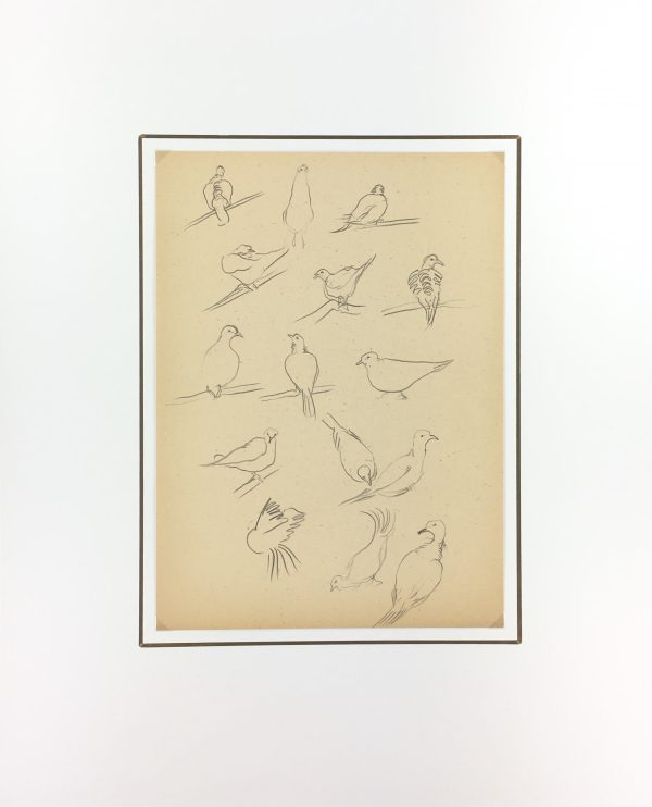 Animals Original Art - Pigeons, Giselle Halff, 1959