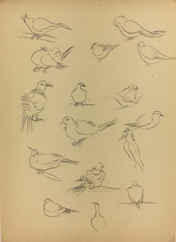 Animals Original Art - Pigeons, Giselle Halff, 1959