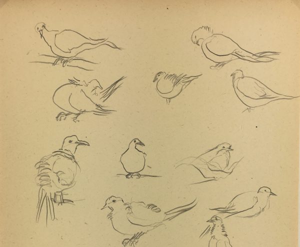 Animals Original Art - Pigeons, Giselle Halff, 1959
