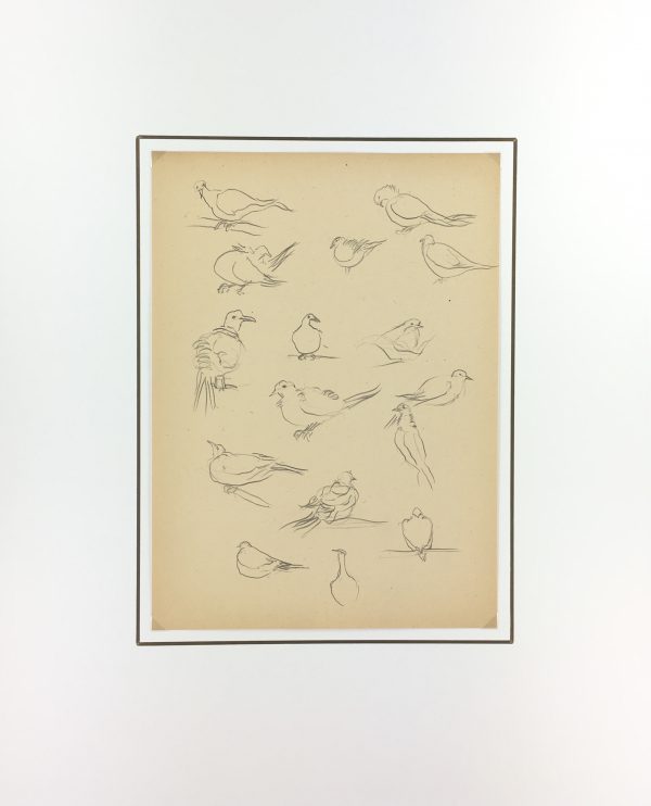Animals Original Art - Pigeons, Giselle Halff, 1959
