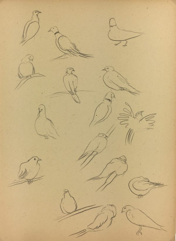 Animals Original Art - Pigeons, Giselle Halff, 1959