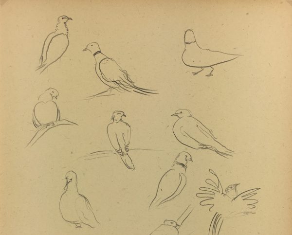 Animals Original Art - Pigeons, Giselle Halff, 1959