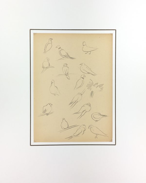 Animals Original Art - Pigeons, Giselle Halff, 1959