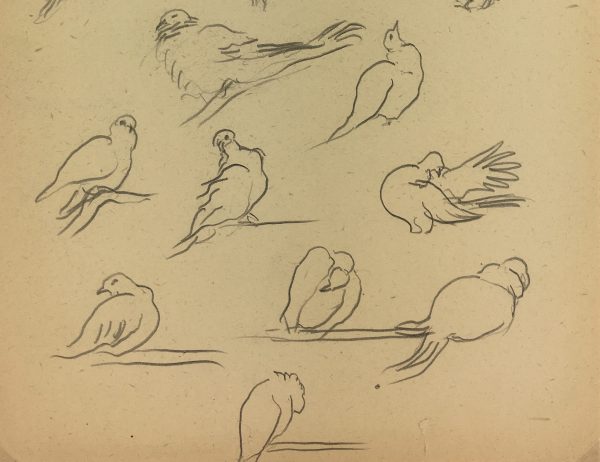 Animals Original Art - Pigeons, Giselle Halff, 1959