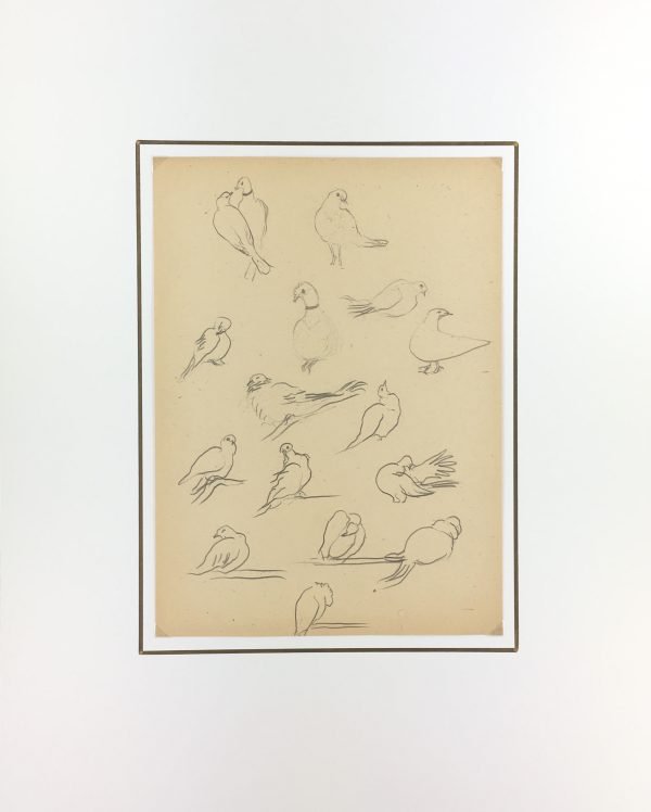 Animals Original Art - Pigeons, Giselle Halff, 1959