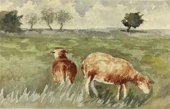 Animals Original Art - Sheep, GC, c.1950