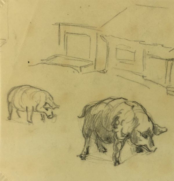 Animals Original Art - Pigs Drawing, Werner Bell, c.1960