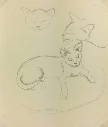 Animals Original Art - Pencil - Cat Drawing, Maurice Porte, 1997