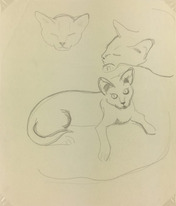 Animals Original Art - Pencil - Cat Drawing, Maurice Porte, 1997