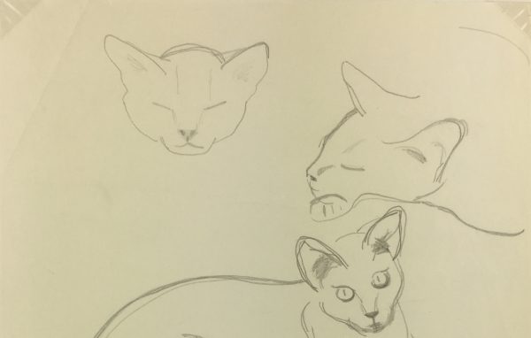 Animals Original Art - Pencil - Cat Drawing, Maurice Porte, 1997