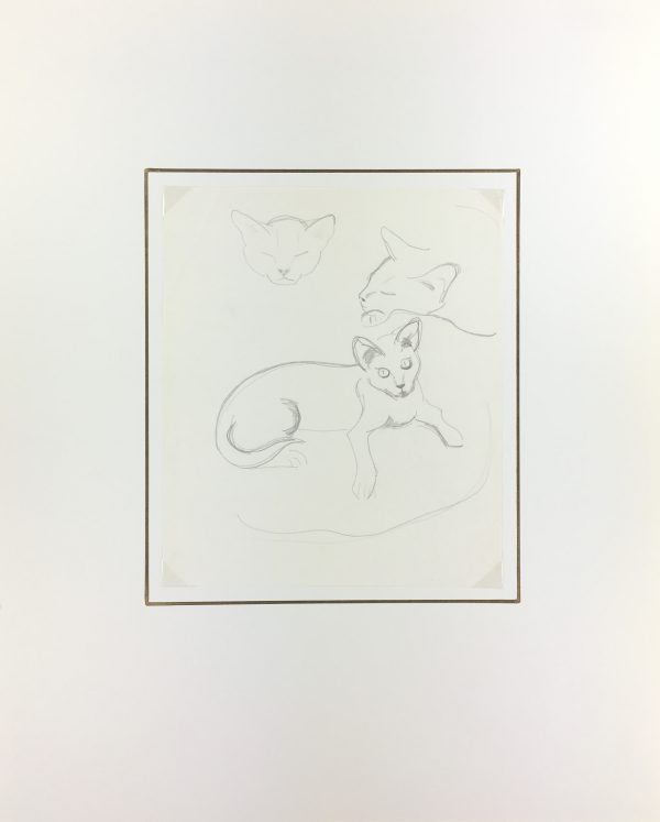 Animals Original Art - Pencil - Cat Drawing, Maurice Porte, 1997