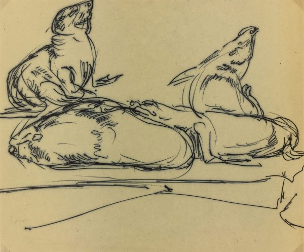 Animals Original Art - Seals, Irmgard von Reppert, 1965
