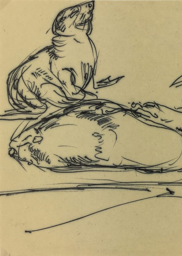 Animals Original Art - Seals, Irmgard von Reppert, 1965