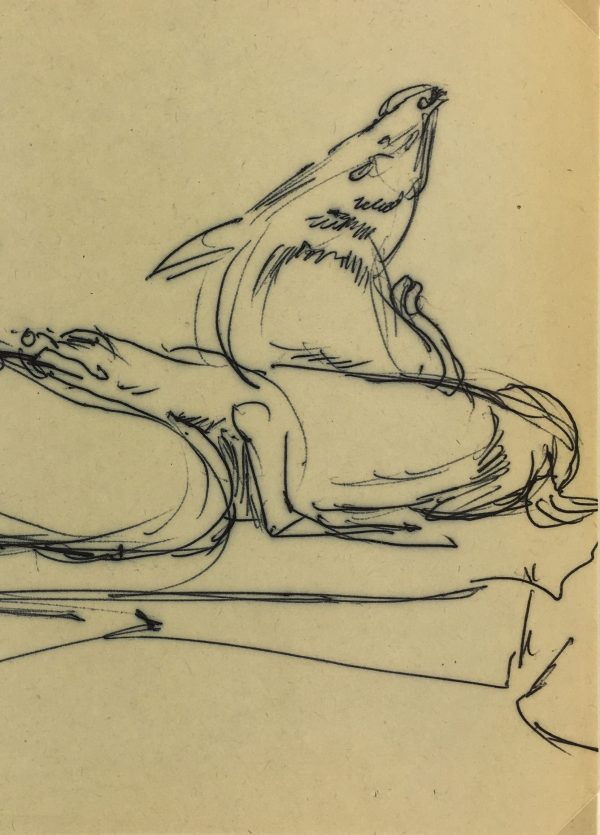 Animals Original Art - Seals, Irmgard von Reppert, 1965