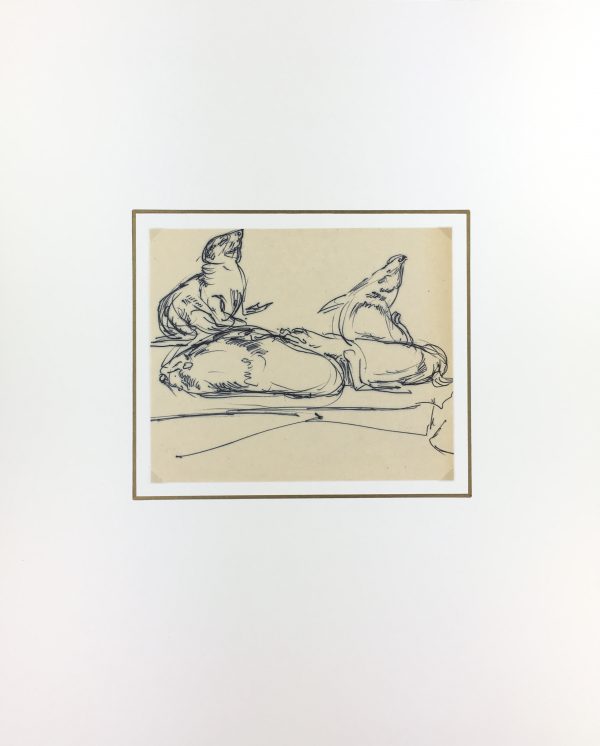 Animals Original Art - Seals, Irmgard von Reppert, 1965