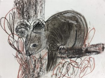 Animals Original Art - Pastel - Sleepy Koala, 2000s