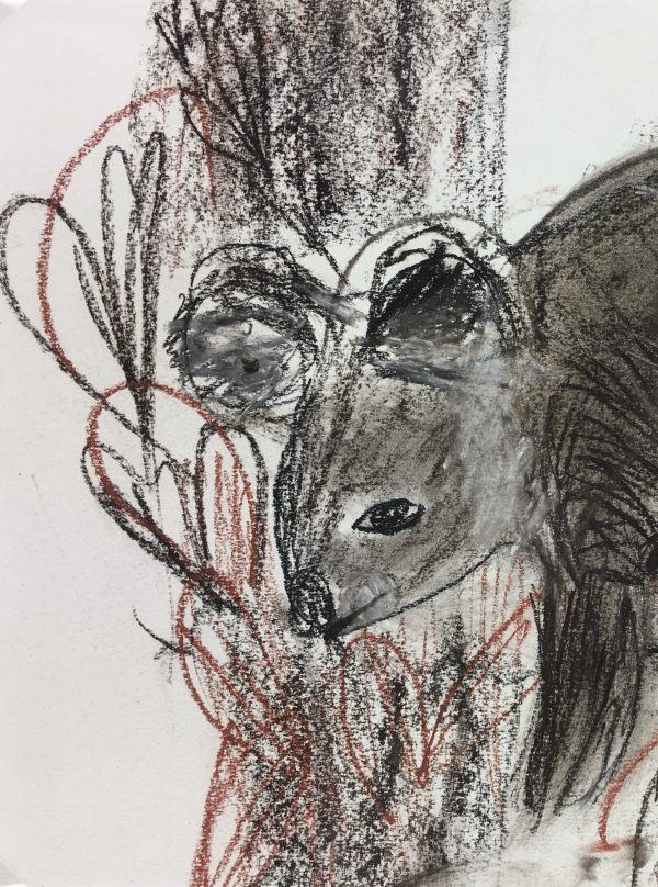 Animals Original Art - Pastel - Sleepy Koala, 2000s