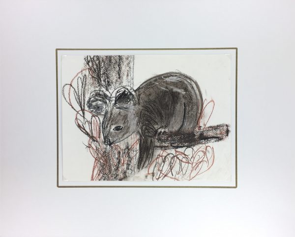 Animals Original Art - Pastel - Sleepy Koala, 2000s