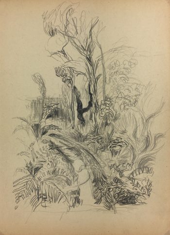 Nature Drawings Original Art - Landscape, Gromont, 1947