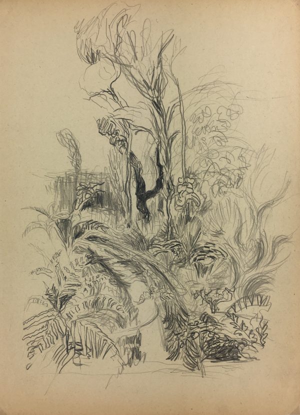 Nature Drawings Original Art - Landscape, Gromont, 1947