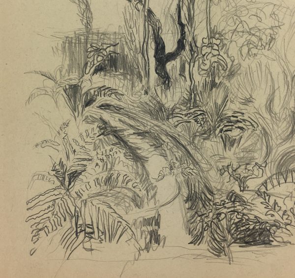 Nature Drawings Original Art - Landscape, Gromont, 1947