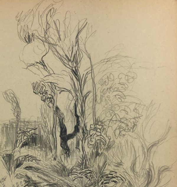 Nature Drawings Original Art - Landscape, Gromont, 1947