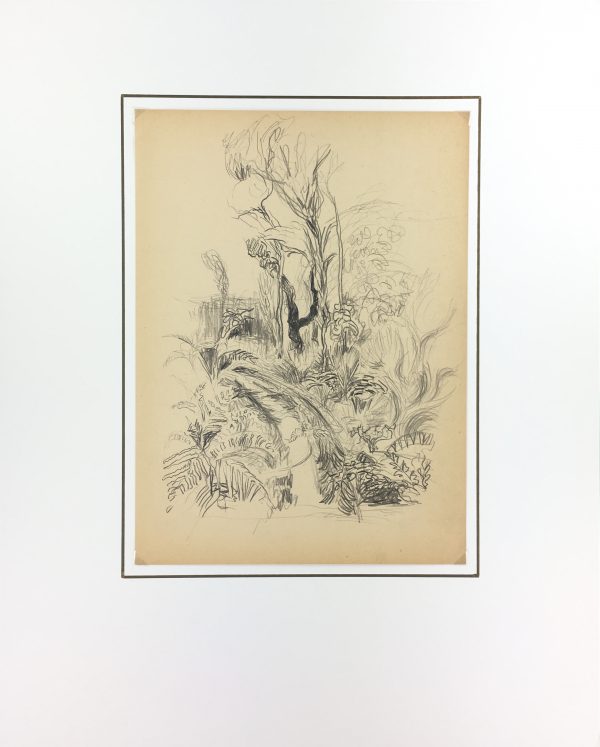 Nature Drawings Original Art - Landscape, Gromont, 1947