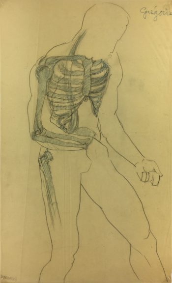 Drawings Original Art - Anatomy Drawing, (French), c.1935