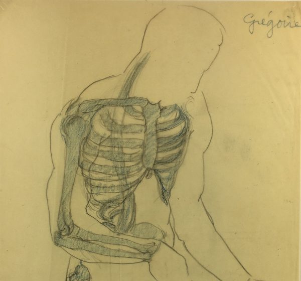 Drawings Original Art - Anatomy Drawing, (French), c.1935