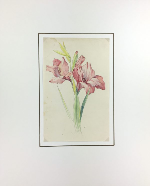 Flowers & Plants Original Art - Watercolor, French, 2012