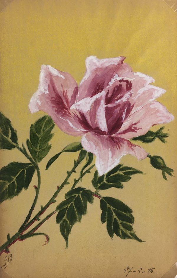 Flowers & Plants Original Art - Rose, Germaine Barbier, 1916