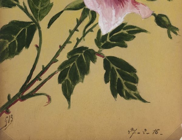Flowers & Plants Original Art - Rose, Germaine Barbier, 1916