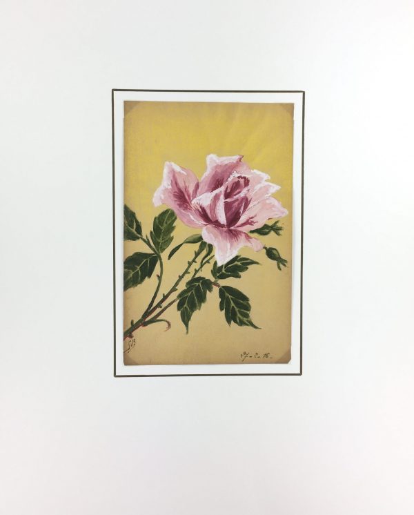 Flowers & Plants Original Art - Rose, Germaine Barbier, 1916