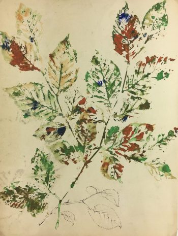 Flowers & Plants Original Art - Gouache - Leaves, c.1950