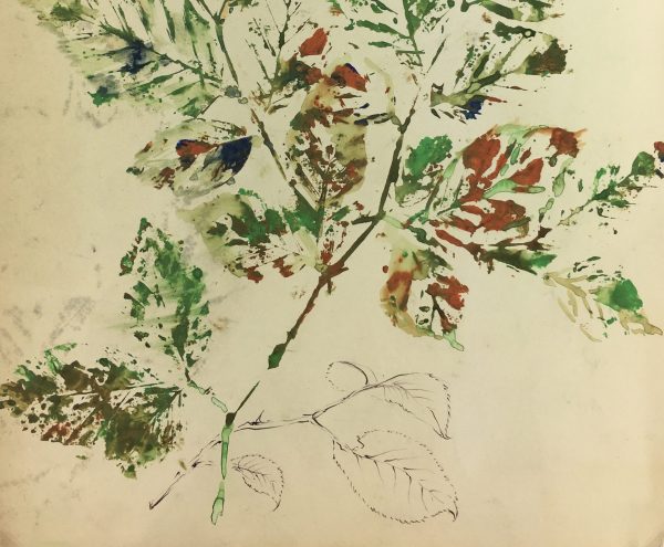 Flowers & Plants Original Art - Gouache - Leaves, c.1950