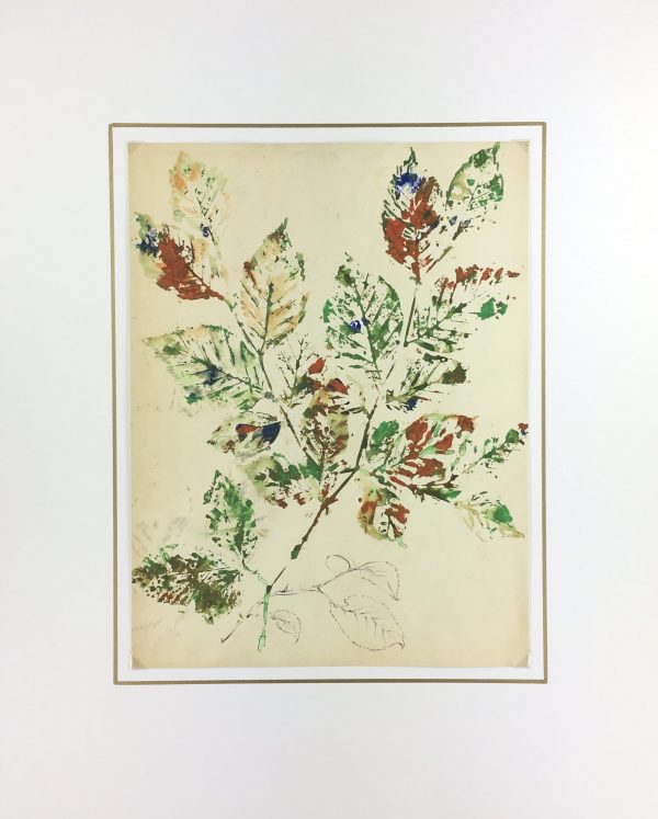 Flowers & Plants Original Art - Gouache - Leaves, c.1950