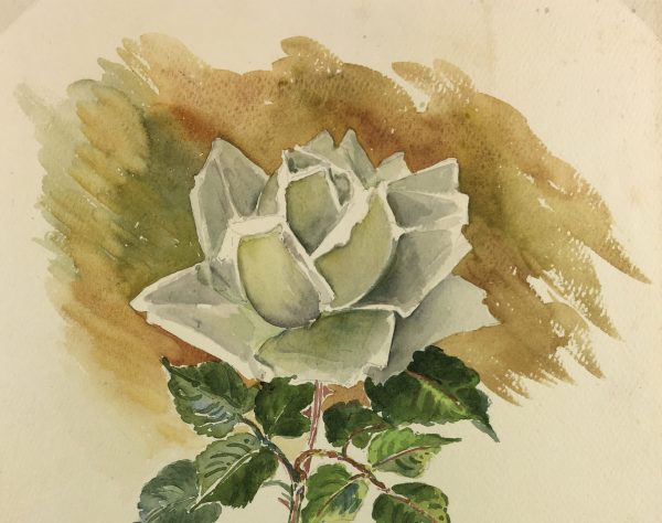 Flowers & Plants Original Art - White Rose, French, c.1960