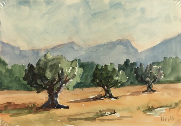 Provence, France Original Art - Olive Trees, R. Bailly, 1983