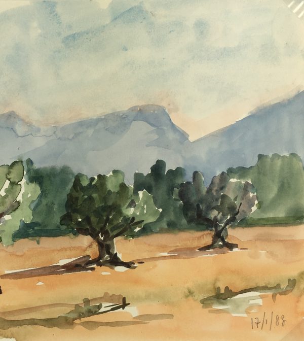 Provence, France Original Art - Olive Trees, R. Bailly, 1983