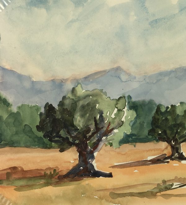 Provence, France Original Art - Olive Trees, R. Bailly, 1983
