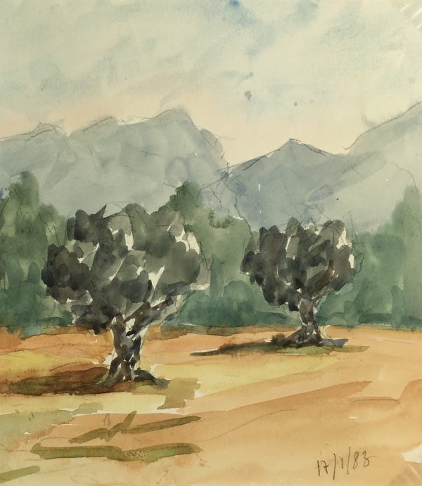 Provence, France Original Art - Olive Trees, R. Bailly, 1983