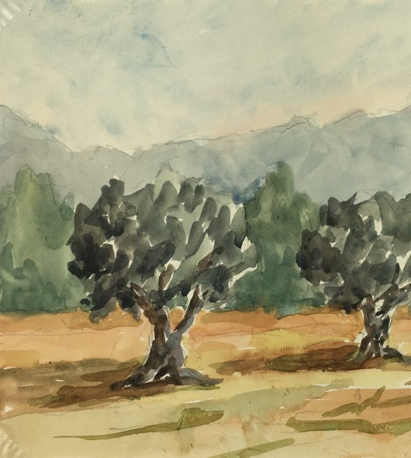 Provence, France Original Art - Olive Trees, R. Bailly, 1983